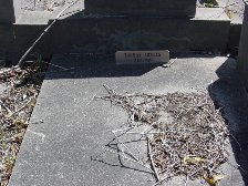 Full-size image