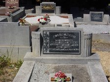 Full-size image