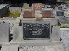 Full-size image