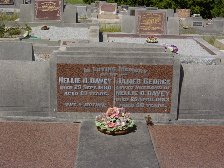 Full-size image