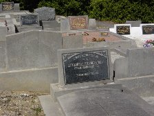 Full-size image