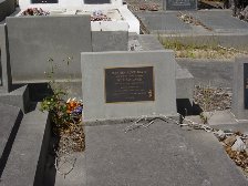 Full-size image