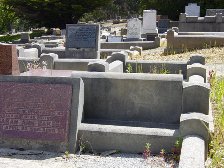 Full-size image