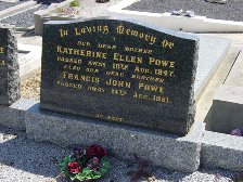 Full-size image