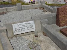 Full-size image