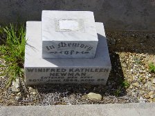 Full-size image