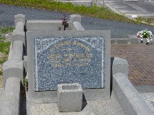 Full-size image