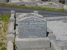 Full-size image