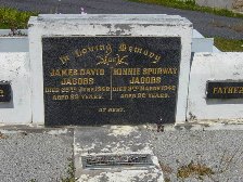 Full-size image