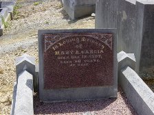 Full-size image