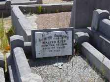 Full-size image