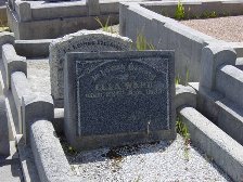 Full-size image
