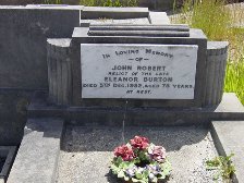 Full-size image