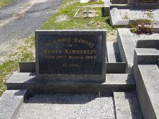 Full-size image