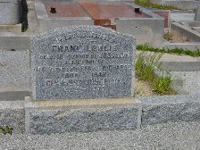 Full-size image