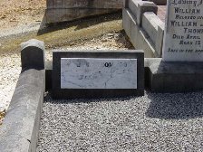 Full-size image