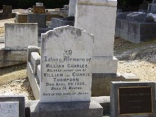 Full-size image