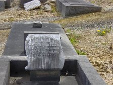 Full-size image