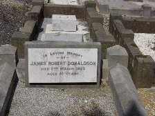 Full-size image