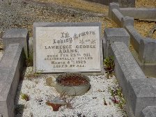 Full-size image