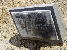 Full-size image