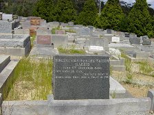 Full-size image