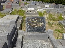 Full-size image