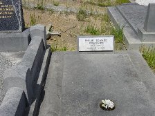 Full-size image