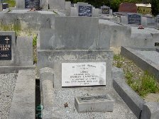 Full-size image