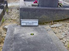 Full-size image
