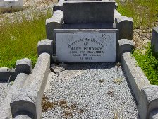 Full-size image