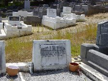 Full-size image