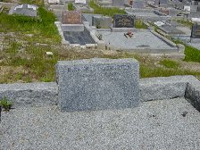 Full-size image