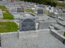 Full-size image