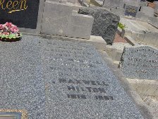 Full-size image