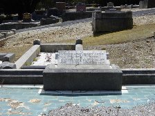 Full-size image
