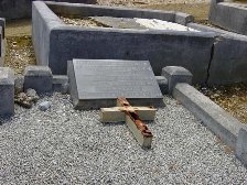 Full-size image