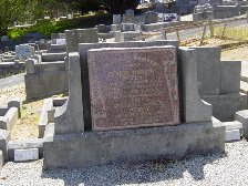 Full-size image