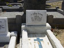 Full-size image