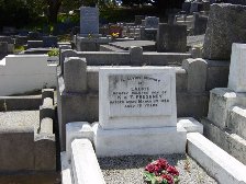 Full-size image