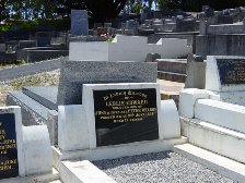 Full-size image