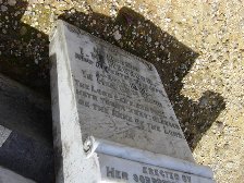 Full-size image
