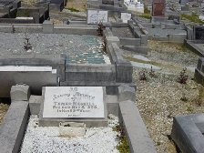 Full-size image
