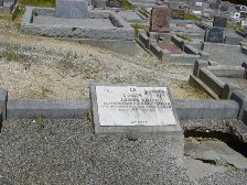 Full-size image