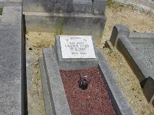Full-size image