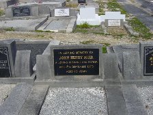 Full-size image