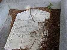 Full-size image