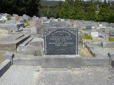 Full-size image
