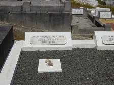 Full-size image
