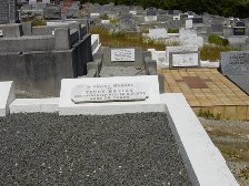 Full-size image